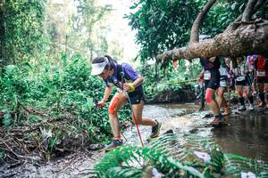 BIB: 
                            <button type="button" onclick="openModal(25461458)" class="btn btn-primary btn-sm float-right btn-popup" data-toggle="modal" data-target=".modal-high-quality">
                        <i class="fas fa-shopping-cart"></i> Add to Cart
                    </button>
                                            <button type="button" onclick="isThisMe(25461458, true)" class="btn btn-success btn-sm float-right btn-popup btn-isme hidden" data-toggle="tooltip" data-placement="bottom" title="นี่คือรูปของคุณใช่ไหม คลิกที่นี่เพื่อเอาเข้าอัลบั้ม">
                        <i class="fas fa-plus"></i> Add to album
                    </button>
                    <button type="button" onclick="isThisMe(25461458, false)" class="btn btn-warning btn-sm float-right btn-popup btn-isnotme hidden">
                        <i class="fas fa-ban"></i> Remove from album
                    </button>